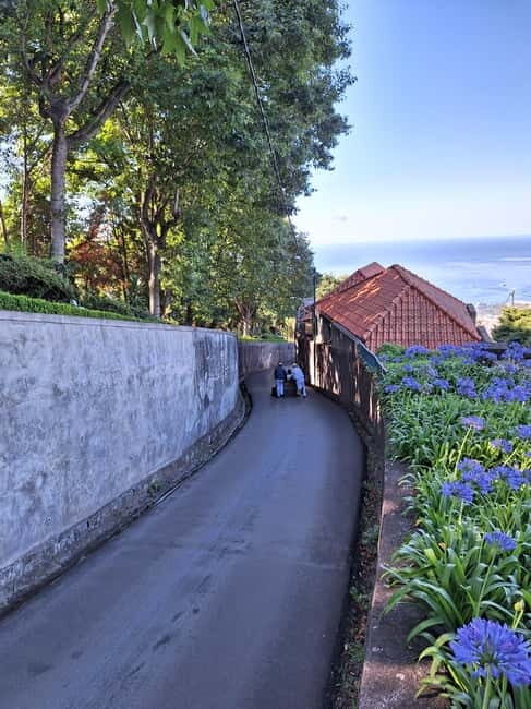 Funchal: Private Cable Car, Toboggan, and Skywalk Tour - Visiting Madeira Tropical Garden