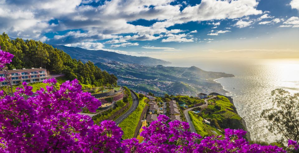 Funchal: Private Guided Cabo Girão Tour - Itinerary Details
