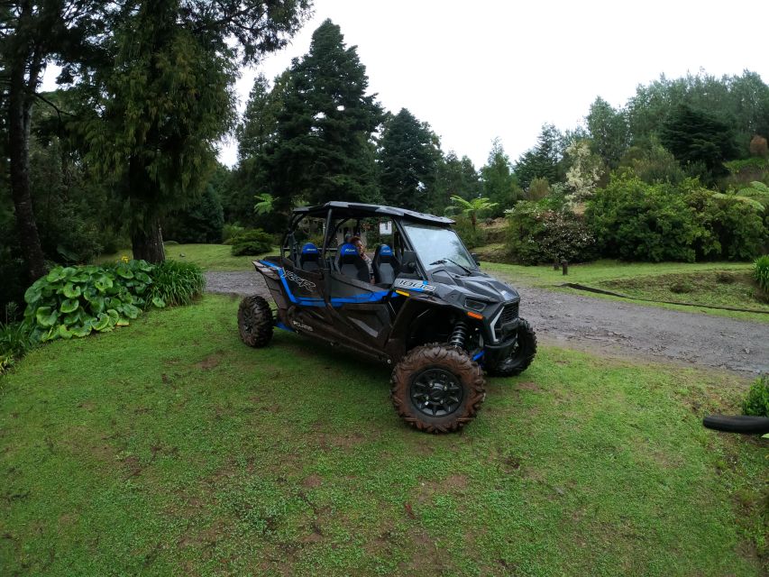 Funchal: Private Off-Road Buggy Tour With Guide & Transfers - Exploring Madeiras Landscapes
