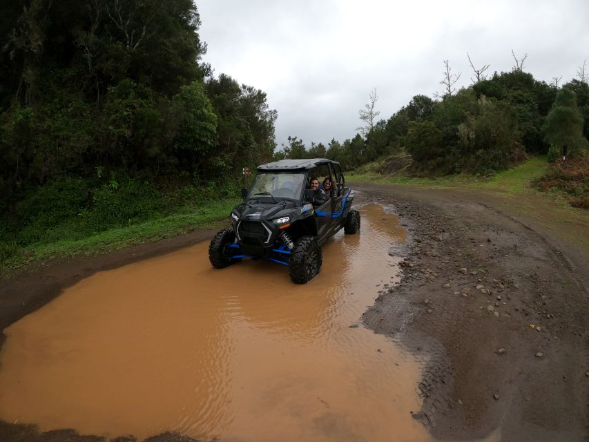 Funchal: Private Off-Road Buggy Tour With Guide & Transfers - Driving the Polaris RZR