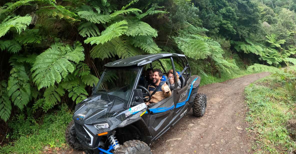 Funchal: Private Off-Road Buggy Tour With Guide & Transfers - Witnessing Endemic Flora