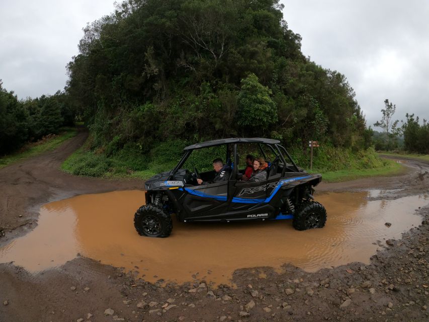 Funchal: Private Off-Road Buggy Tour With Guide & Transfers - Scenic Stops and Vistas