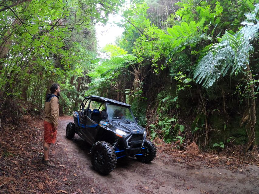 Funchal: Private Off-Road Buggy Tour With Guide & Transfers - Important Tour Details