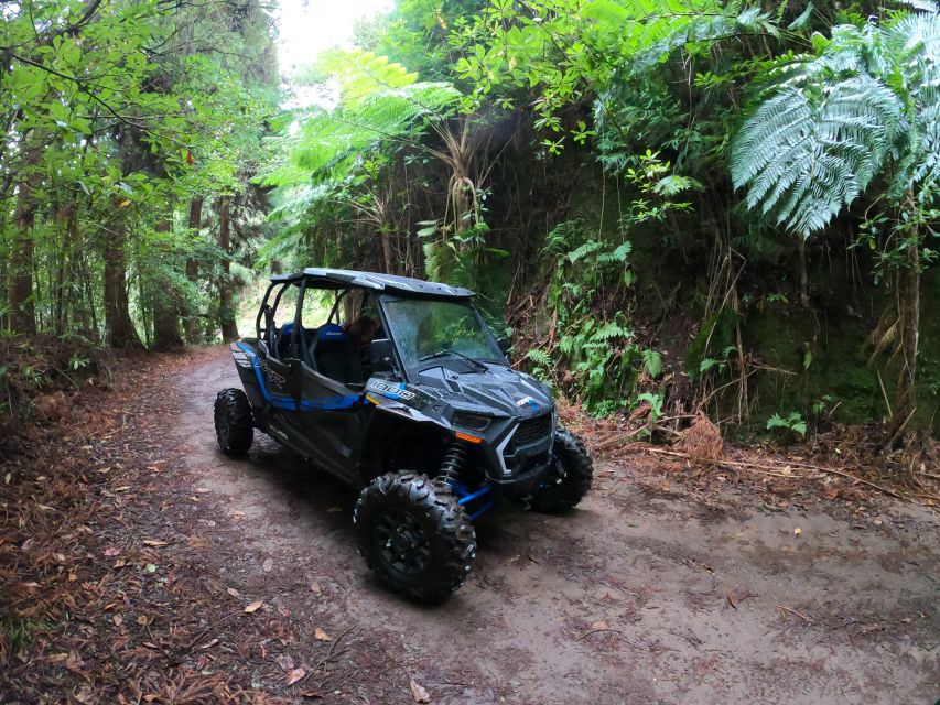 Funchal: Private Off-Road Buggy Tour With Guide & Transfers - Frequently Asked Questions