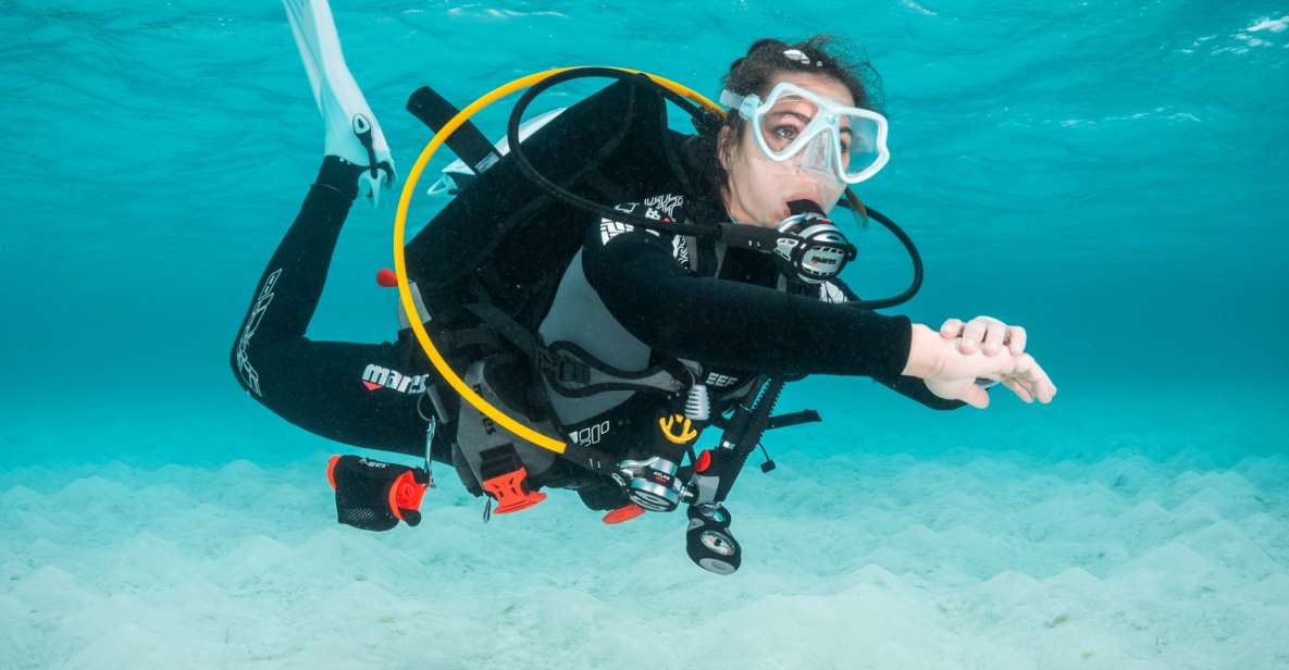 Funchal: Scuba Diving Experience for Beginners - Pricing and Availability