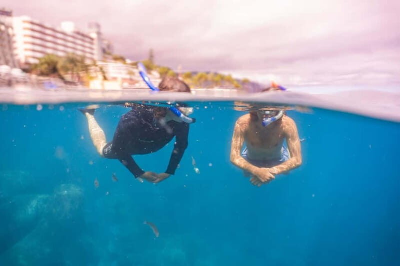 Funchal: Snorkeling Adventure in Eco-Park / Shore or by Boat - An Overview of the Experience