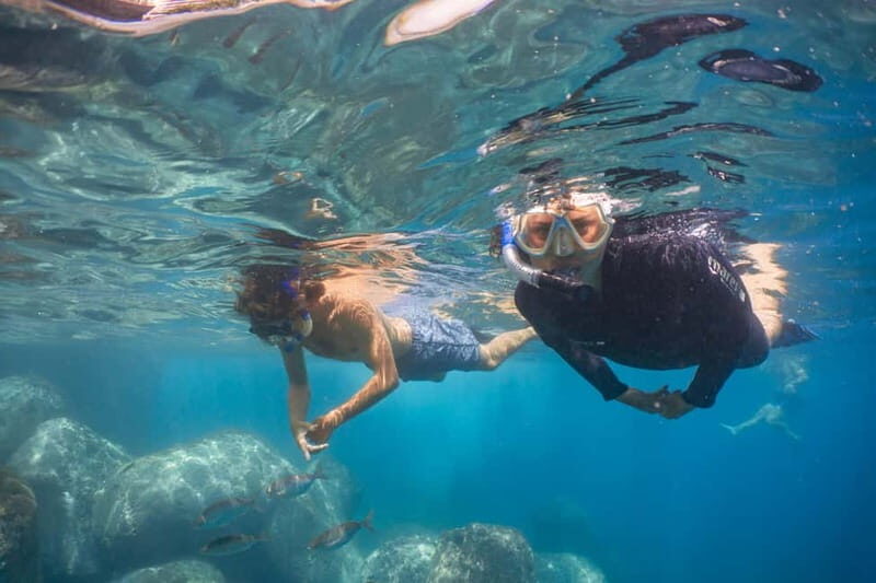 Funchal: Snorkeling Adventure in Eco-Park / Shore or by Boat - Equipment and Facilities