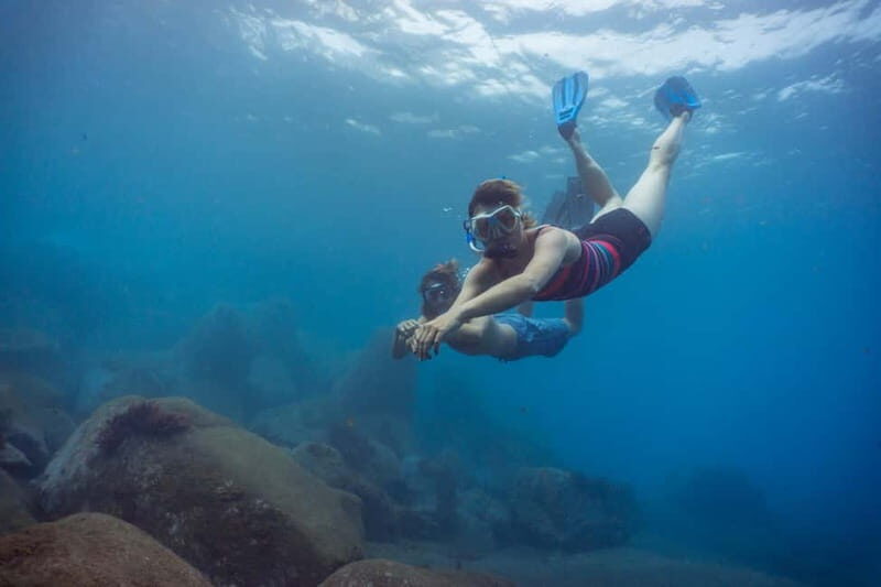 Funchal: Snorkeling Adventure in Eco-Park / Shore or by Boat - Practical Tips for Your Snorkeling Adventure