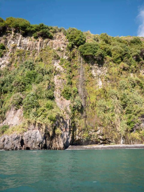 Funchal: Speedboat SEE THE ISLAND AND LIFE AT SEA - The Sum Up