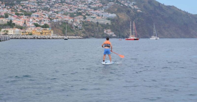 Funchal: Standup Paddle - Why You Might Want to Try Stand-Up Paddleboarding in Funchal