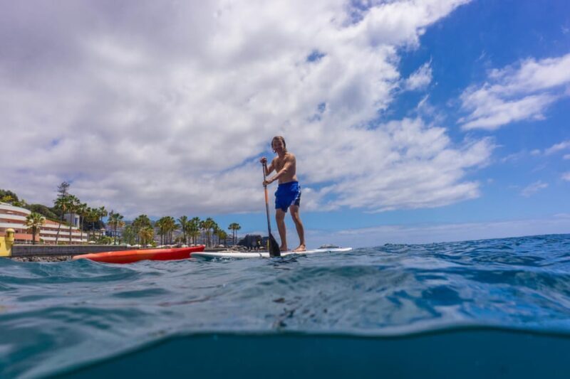 Funchal: SUP Rental or Guided tour with snorkeling - Key Points