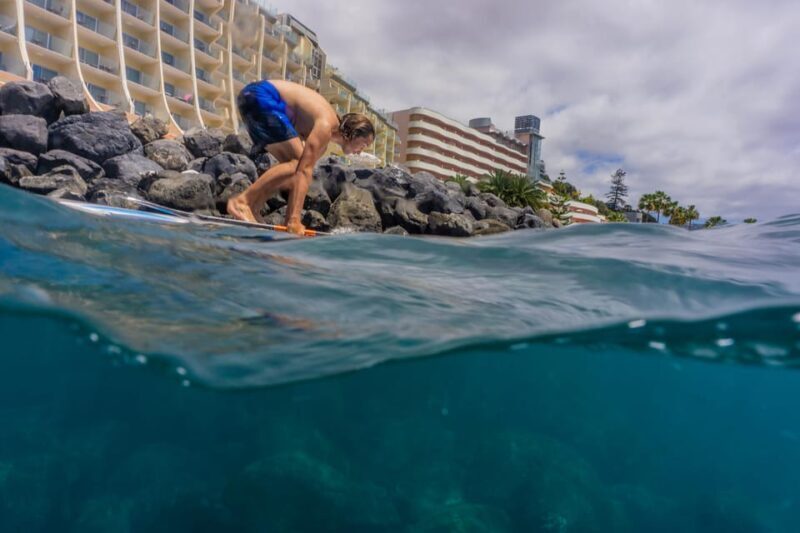 Funchal: SUP Rental or Guided tour with snorkeling - The Value and How It Fits Into Your Madeira Trip