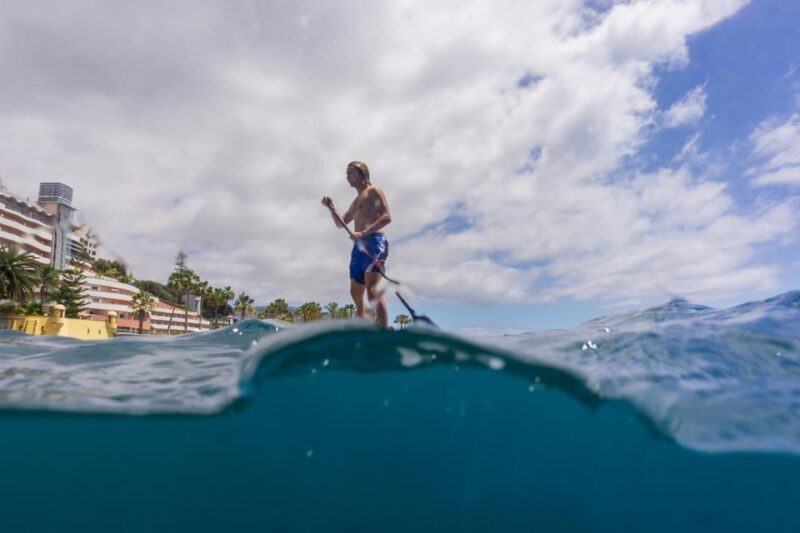 Funchal: SUP Rental or Guided tour with snorkeling - The Sum Up: Is It Worth It?