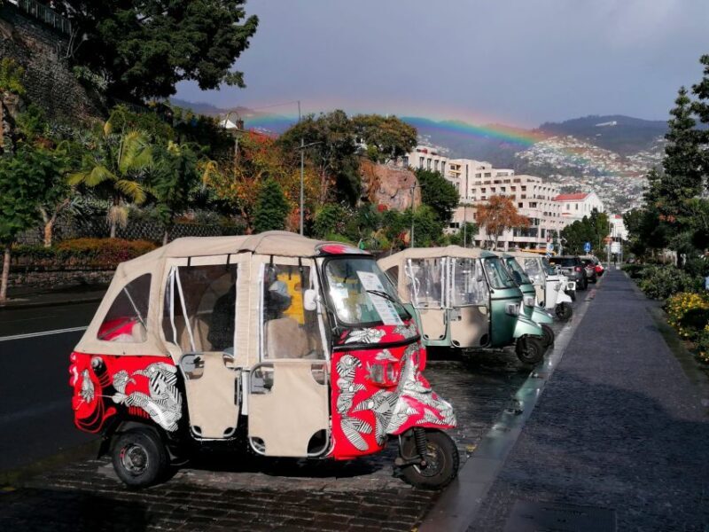 Funchal: Tuk Tuk Ride to Monte Funchal Toboggans - Key Points