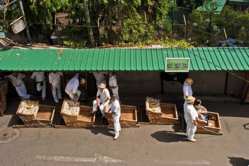 Funchal: Tuk Tuk Ride to Monte Funchal Toboggans - Who Would Love This Tour?