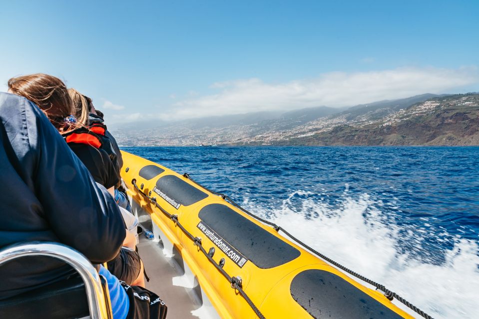 Funchal: Whale and Dolphin Watching Speed Boat Tour - Biologist Guide Expertise
