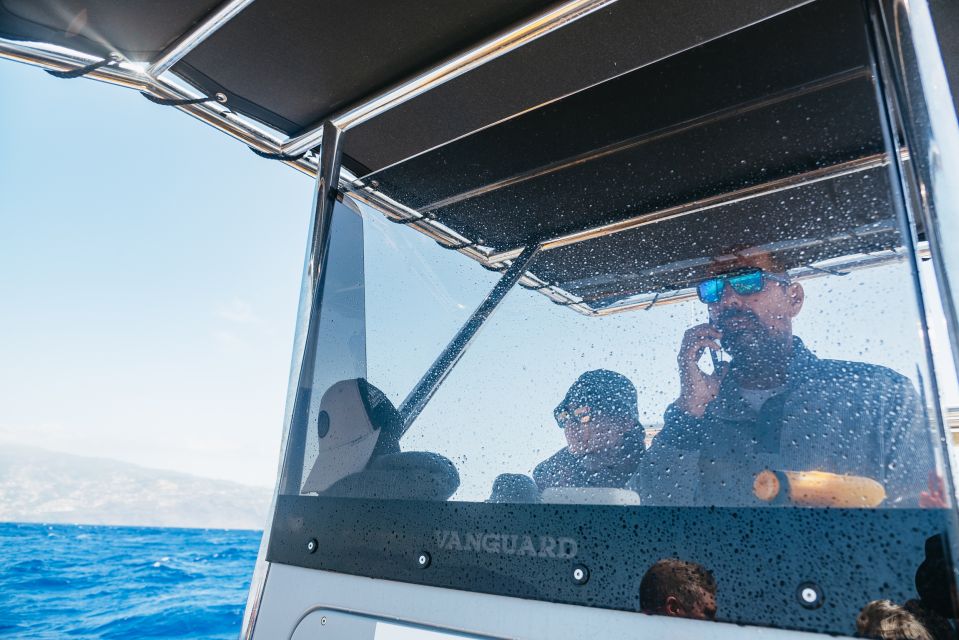 Funchal: Whale and Dolphin Watching Speed Boat Tour - Included Amenities