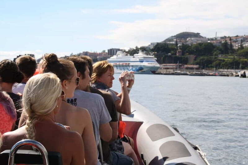 Funchal: Whale Watching and Swimming with Dolphins Cruise - What Makes This Tour Special?