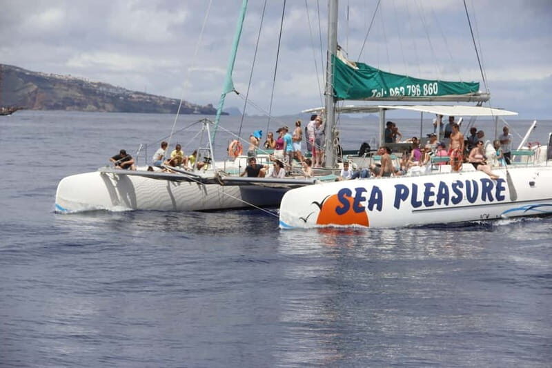 Funchal:Hop-on Hop-off Bus & Whale & Dolphin boat Excursion - A Detailed Look at the Land and Sea Experience in Madeira