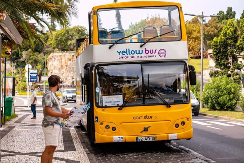 Funchal:Hop-on Hop-off Bus & Whale & Dolphin boat Excursion - Final Thoughts