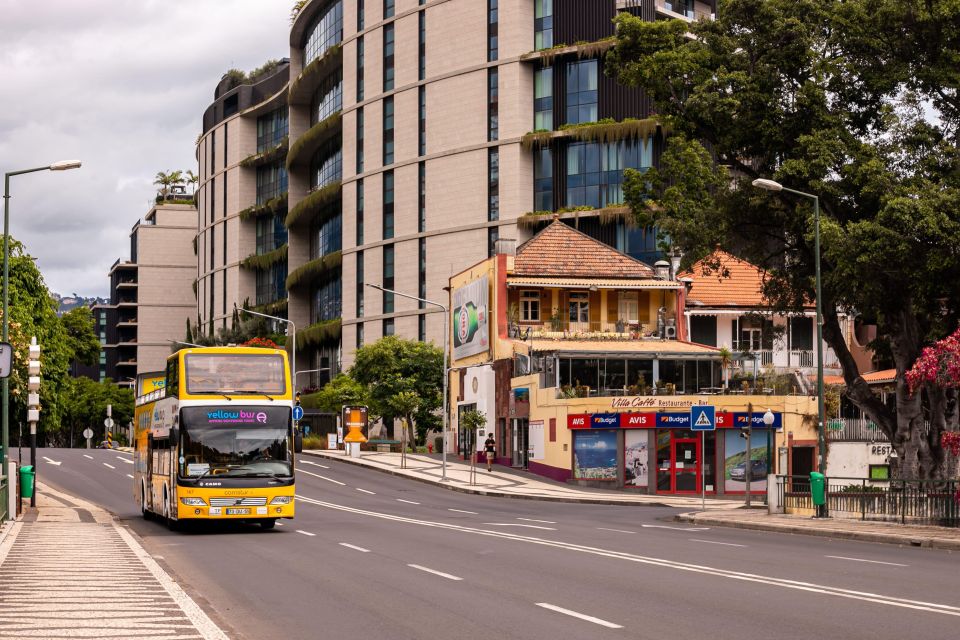 Funchal:Hop-On Hop-Off Bus & Whale & Dolphin Boat Excursion - Customer Reviews