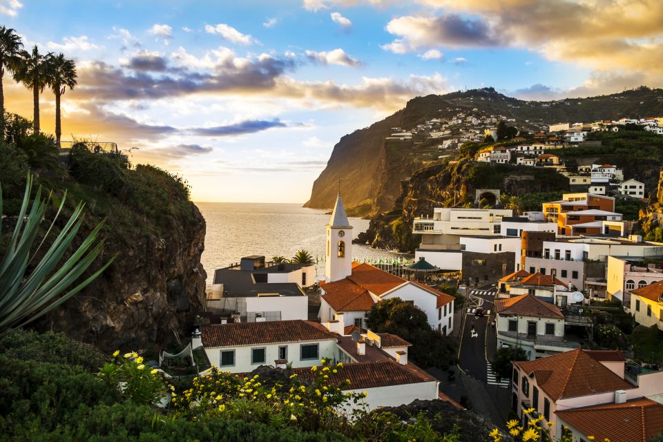 Funchal:Hop-On Hop-Off Bus & Whale & Dolphin Boat Excursion - Madeira Wine Tasting