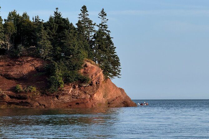 Fundy Shore Tour By Bus - An In-Depth Look at the Fundy Shore Tour by Bus