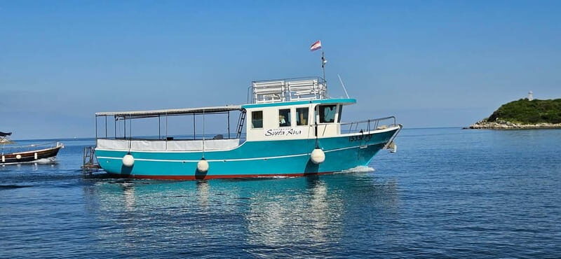 Funtana,Vrsar: Dolphin safari, drinks included - Key Points