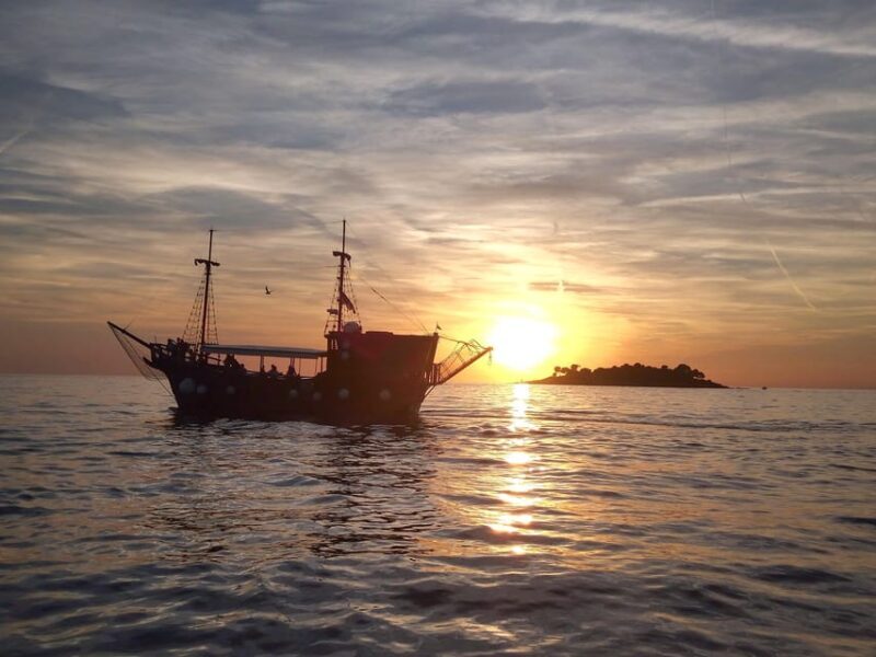 Funtana,Vrsar: Dolphin watching at sunset,drinks included - An Overview of What to Expect