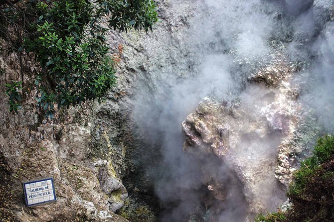 Furnas and Terra Nostra Botanic Park Guided Tour W/ Hotsprings - Meeting and Pickup Details