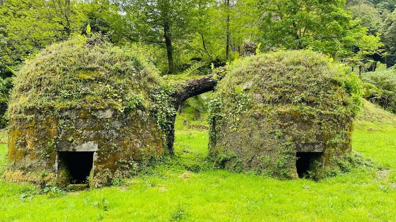 Furnas: Private Tour with Hike & Terra Nostra Hot Springs - Analyzing the Value
