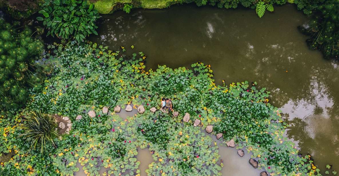 Furnas & Terra Nostra Botanic Park Guided Tour W/ Hotsprings - Key Points