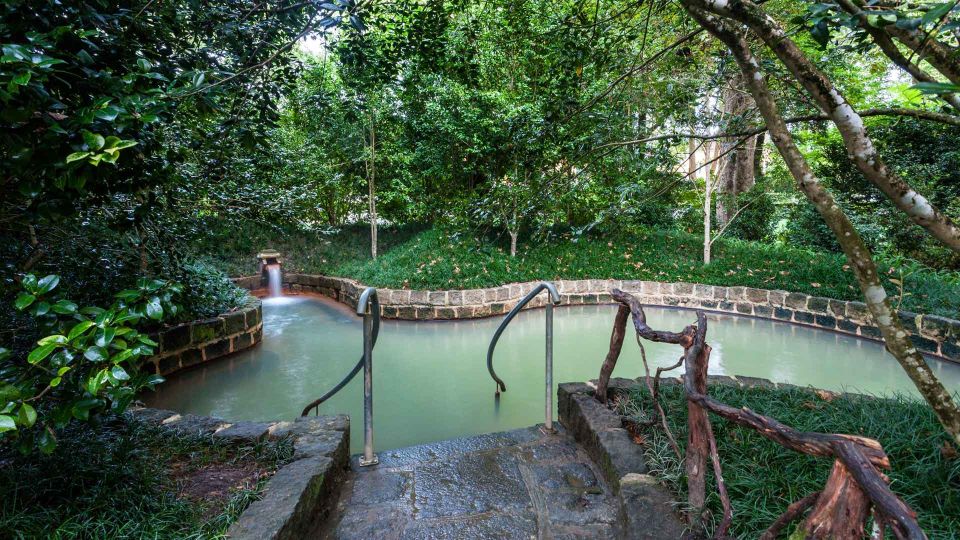 Furnas & Terra Nostra Botanic Park Guided Tour W/ Hotsprings - Small Group and Pickup