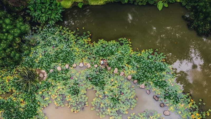 Furnas & Terra Nostra Botanic Park Tour w/Lunch + Hotsprings - A Deep Dive Into the Tour Experience