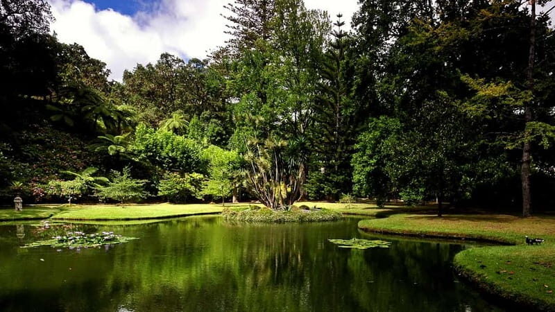 Furnas & Terra Nostra Botanic Park Tour w/Lunch + Hotsprings - Who This Tour Is Best For  