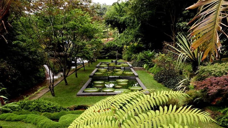 Furnas & Terra Nostra Botanic Park Tour w/Lunch + Hotsprings - FAQ