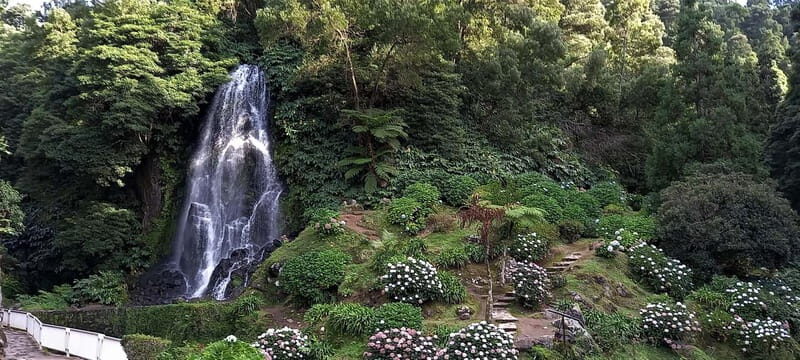 Furnas Volcano: Full Day Tour, Hot Springs & Waterfalls - An In-Depth Look at the Tour Experience