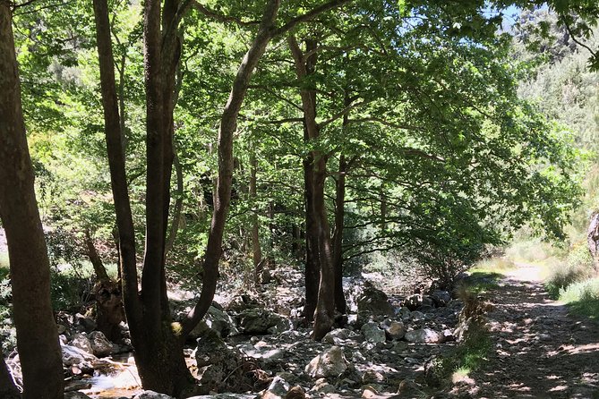 Fygou and Agia Irini Gorge Loop Half Day Hiking Tour - Pricing and Booking Details
