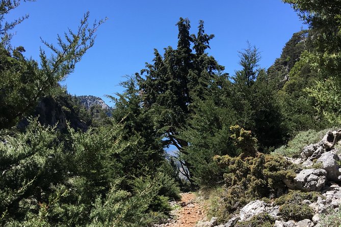 Fygou and Agia Irini Gorge Loop Half Day Hiking Tour - Sum Up