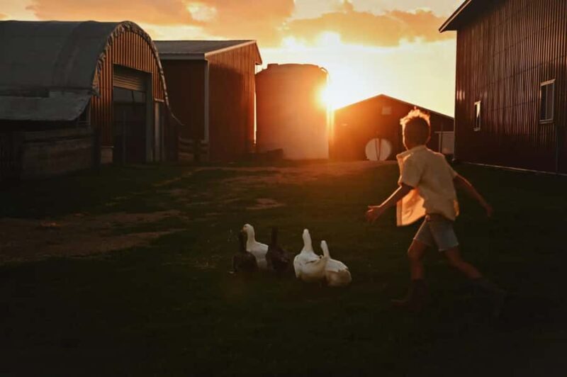 Galena Area: Berning Acres Family Dairy Farm Tour - Final Thoughts