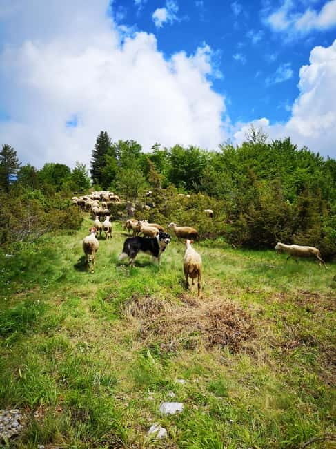 Galicica and Elsani: Macedonian evening with Lale Tours - Final Thoughts: Who Will Love This Tour?