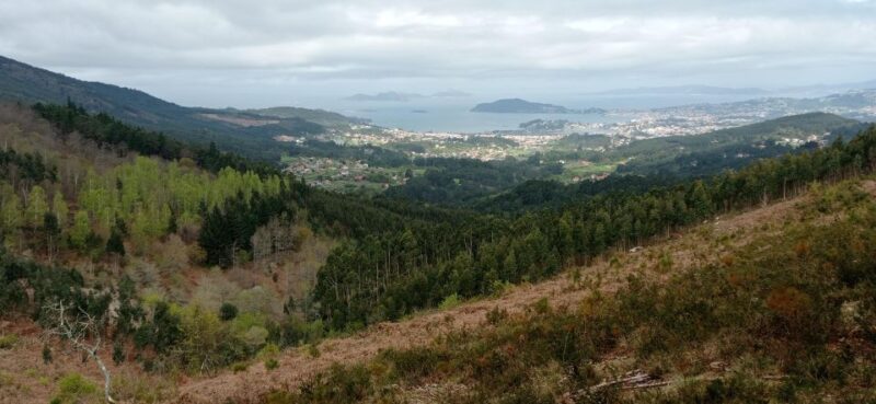 Gallaecian-Roman Gold Mining in Serra Da Groba Tour - Booking and Cancellation