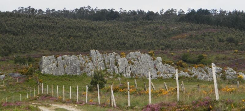Gallaecian-Roman Gold Mining in Serra Da Groba Tour - Participant Information