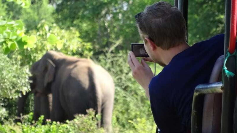 Galle: All Inclusive Morning Leopard Safari in Yala -Private - FAQ