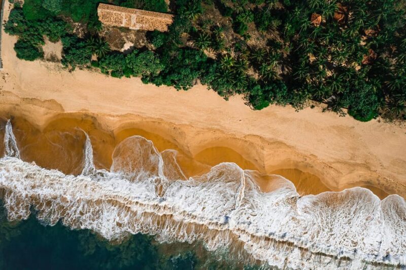 Galle: All Inclusive Private Day Tour From Colombo & Negombo - Marine Life and Conservation