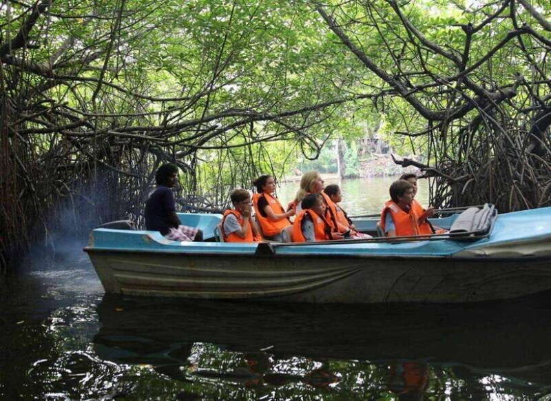 Galle Day Tour - Boat Safari on the Madu River: A Natural Highlight  