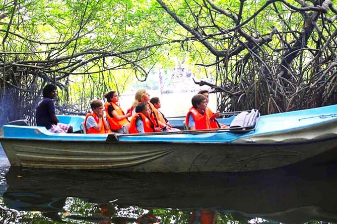 Galle Day Tour From Colombo or Negombo by Private Car , Van With Driver - Visiting Galle Fort