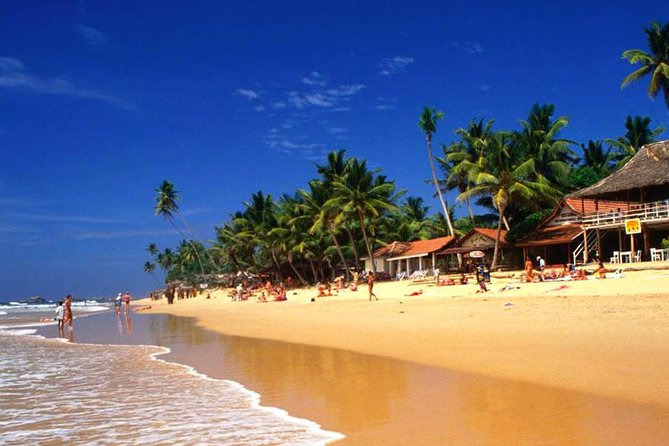 Galle Day Tour From Colombo or Negombo by Private Car , Van With Driver - Madu River Safari Experience
