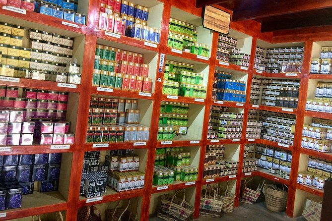 Galle Fort And Tea Factory Visit - Booking and Prices