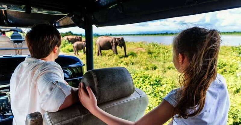 Galle/Mirissa/Hiriketiya: Drop to Ella & Udawalawa Safari - What the Reviews Reveal